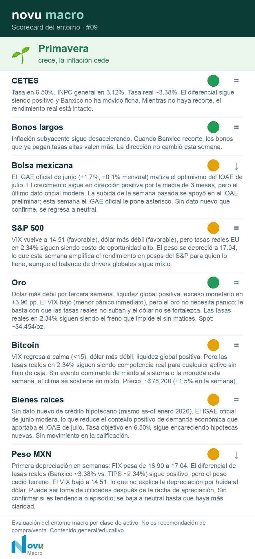 Scorecard del entorno · #09