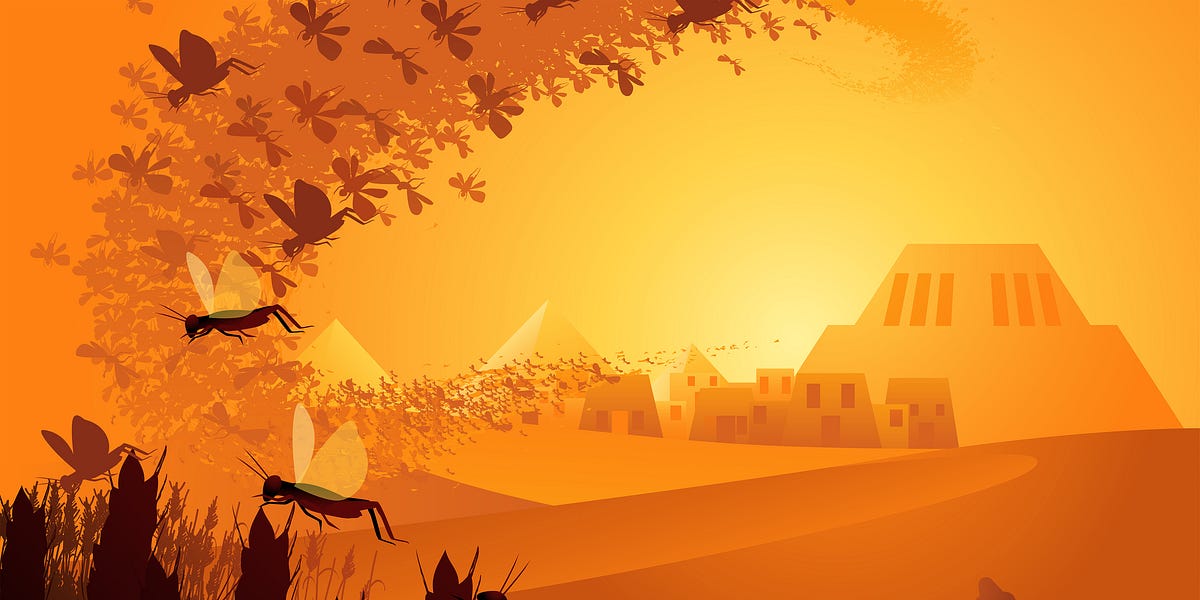 A.I., Drone Swarms, and the End Times