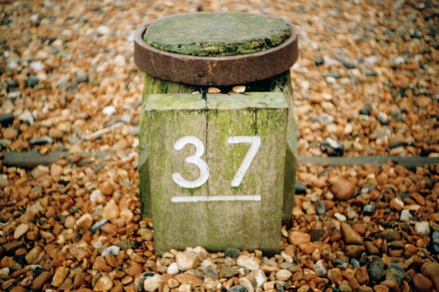 37 on a green piece of wood