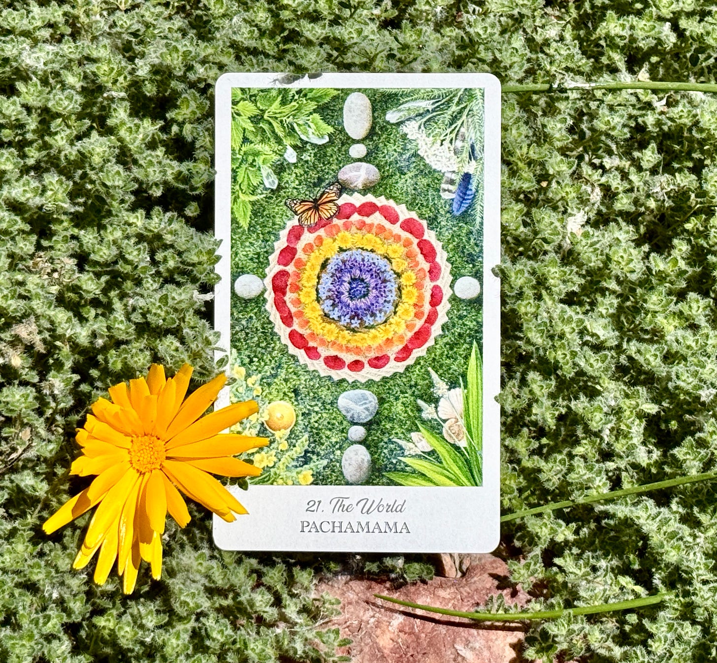 Pachamama, the World from the Herbcrafter’s Tarot. Art by JPC. Card accompanied by Calendula and Wooly Thyme. Pachamama, the World from the Herbcrafter’s Tarot. Art by JPC. Card accompanied by Calendula and Wooly Thyme.