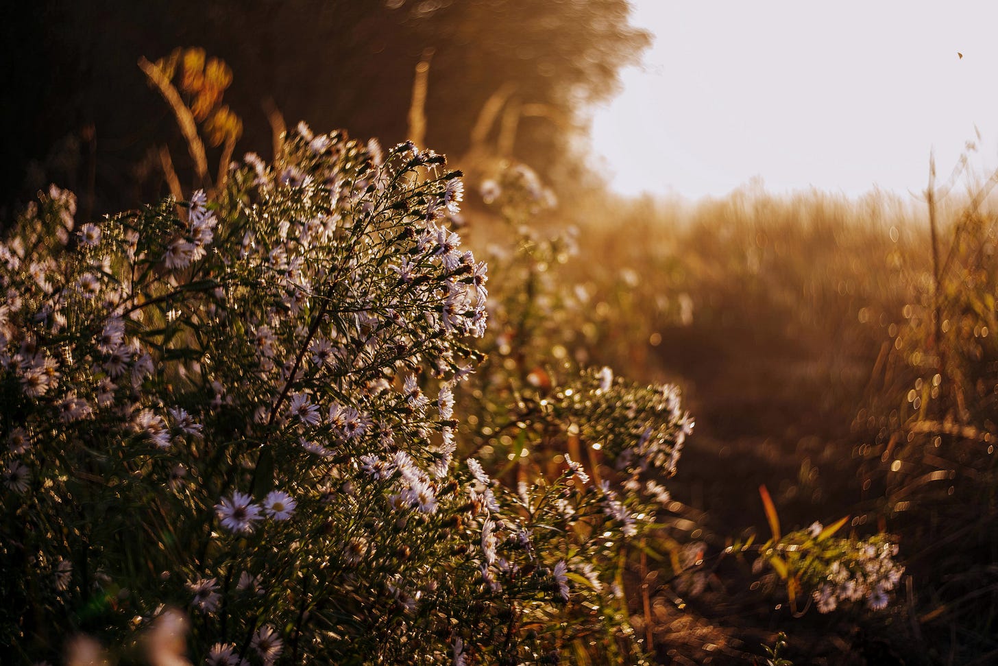 Photo by Nataliia-zhytnytska