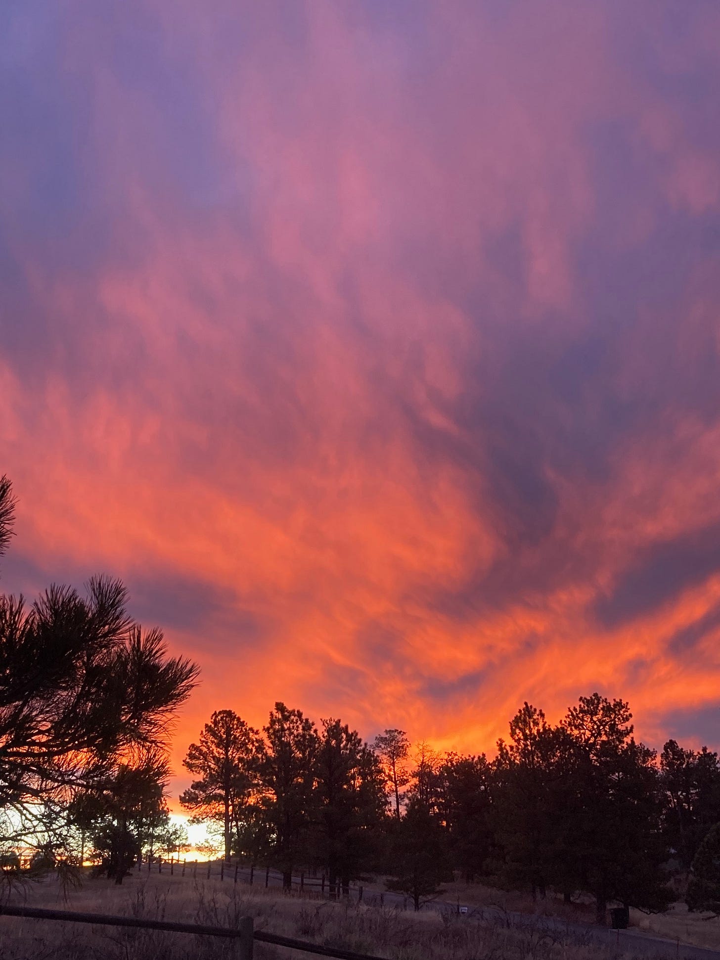 Dawn Clouds, 2026-01-02