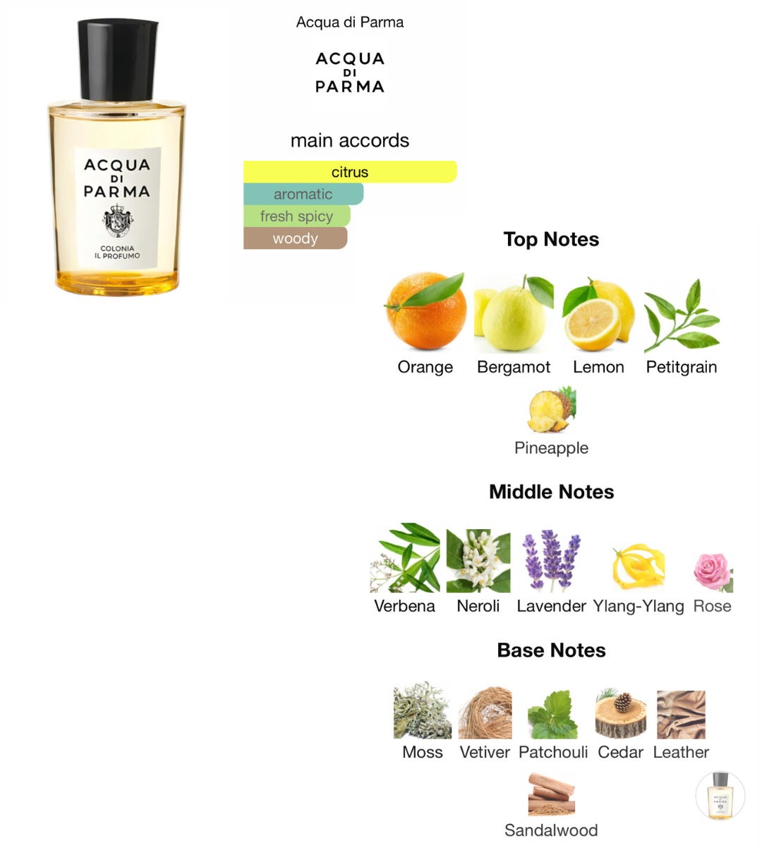Acqua di Parma - Il Profumo - Fabricateurialist's - Rewoven