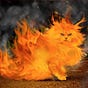 Anomalous Anonymous's avatar