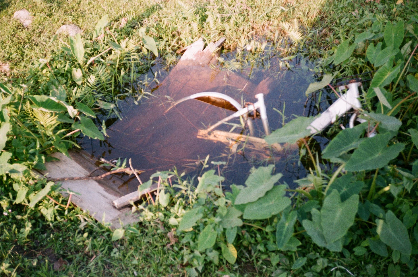 A bicycle and a plank of wood submerged in a ditch filled with water, surrounded by unattended lawn.