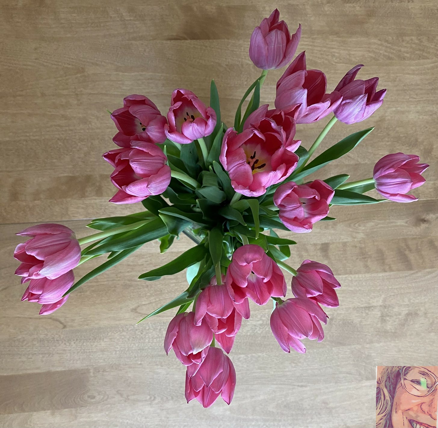 Bouquet de tulipes (crédit photo Phrenssynnes)