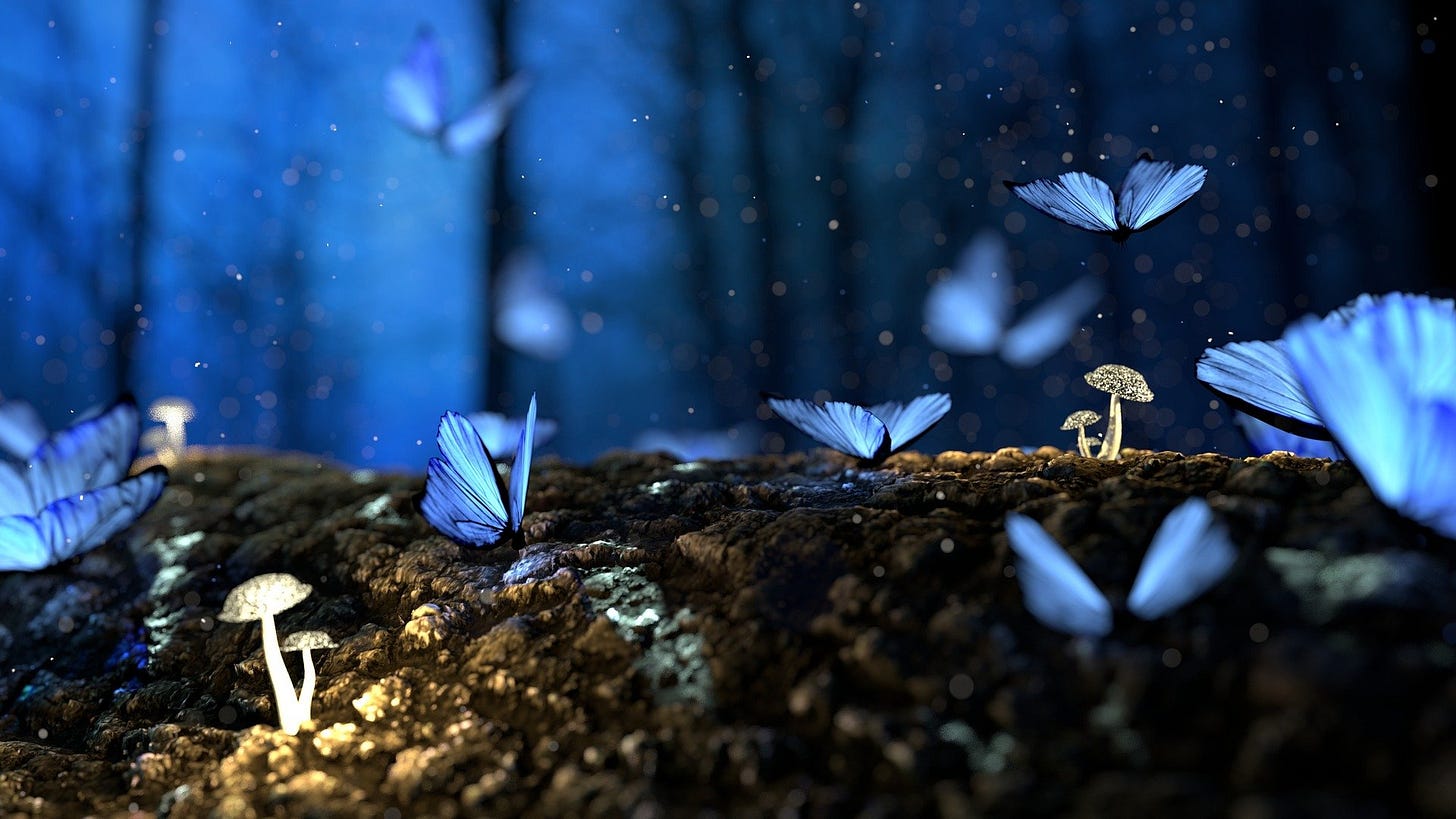 This is why feeling butterflies isn’t a good sign What feeling butterflies really means when meeting someone new