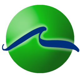 The Waves - by Paul Mason