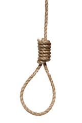noose noose