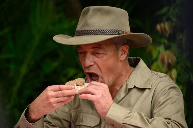 What happens to your body when you eat bugs like on I'm A Celebrity ...