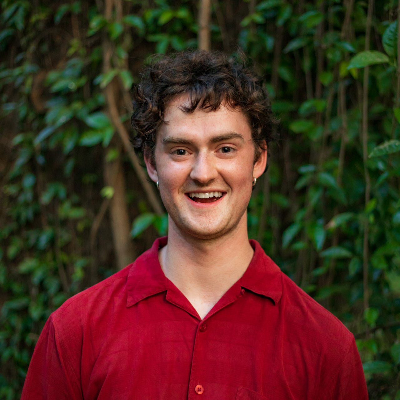 Artwork for Cutting Branches, Anticipating Sunshine