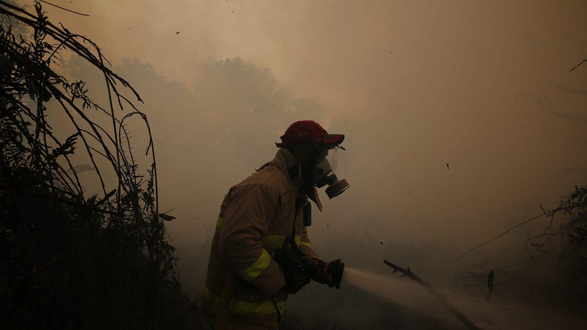 Indonesia Wildfire Crisis: Haze Spreads Across Southeast Asia