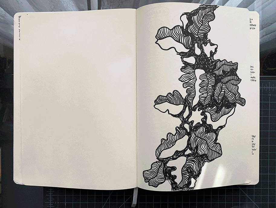 gif of bng's 2020 sketchbook