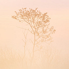 When the work stops working