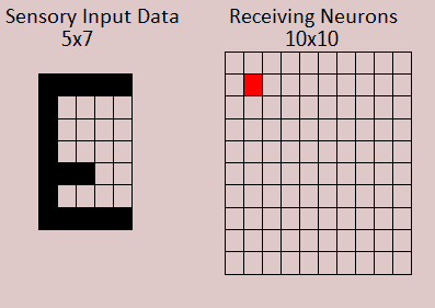 Visual Image to Winning Neuron
