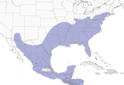 Screenshot 2026-04-15 at 1.56.06 AM.png