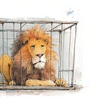 lion in a cage