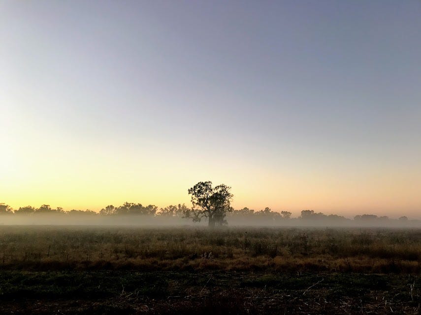 Finding hope & beauty in the fallow season