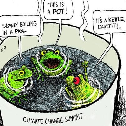 How I used the ‘how to boil a frog’ method to grow myself