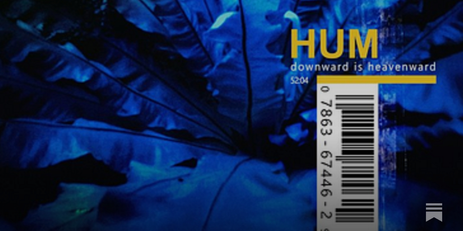 Downward is Heavenward by Hum - by Craig Lyndall