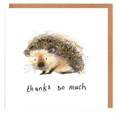 cats, lion, hedgehog illustration