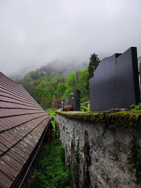 The same view from my study window, from April to June: there is the edge of the cemetery, a workshop roof, and the wooded lower slopes of a mountain, with crags and rock outcrops. The greening of the tree leaves is clear in these images, the colour spreading higher up the mountain with each photograph until, by June, all is green and vibrant.