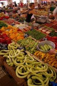 south of france south of france