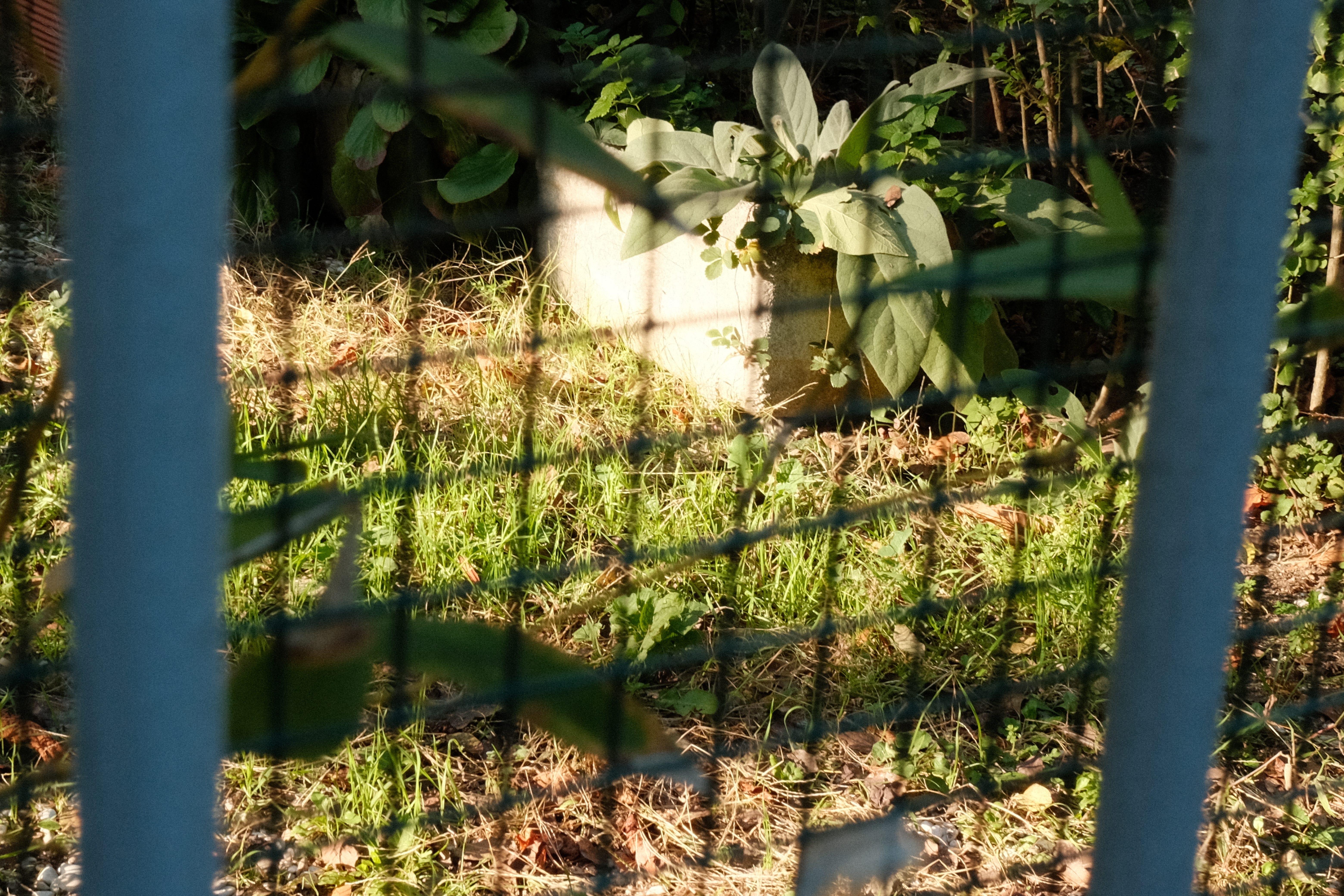 Why Random Photos Matter: The Hidden Key to Finding Your Creative Direction