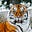 Human Wildlife Co-Existence's avatar