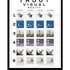Trout Visual Acuity
