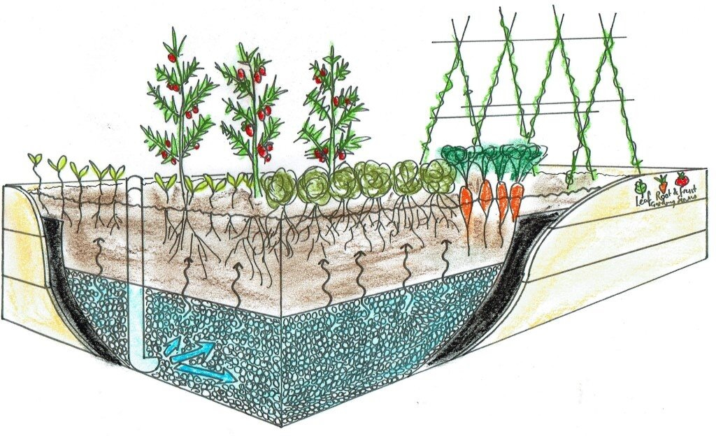 A Wicking Garden Bed