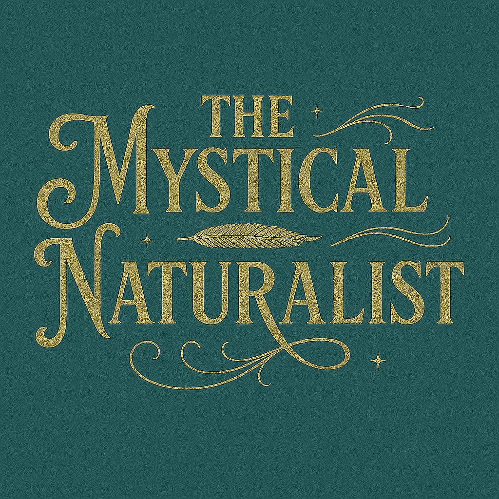 The Mystical Naturalist