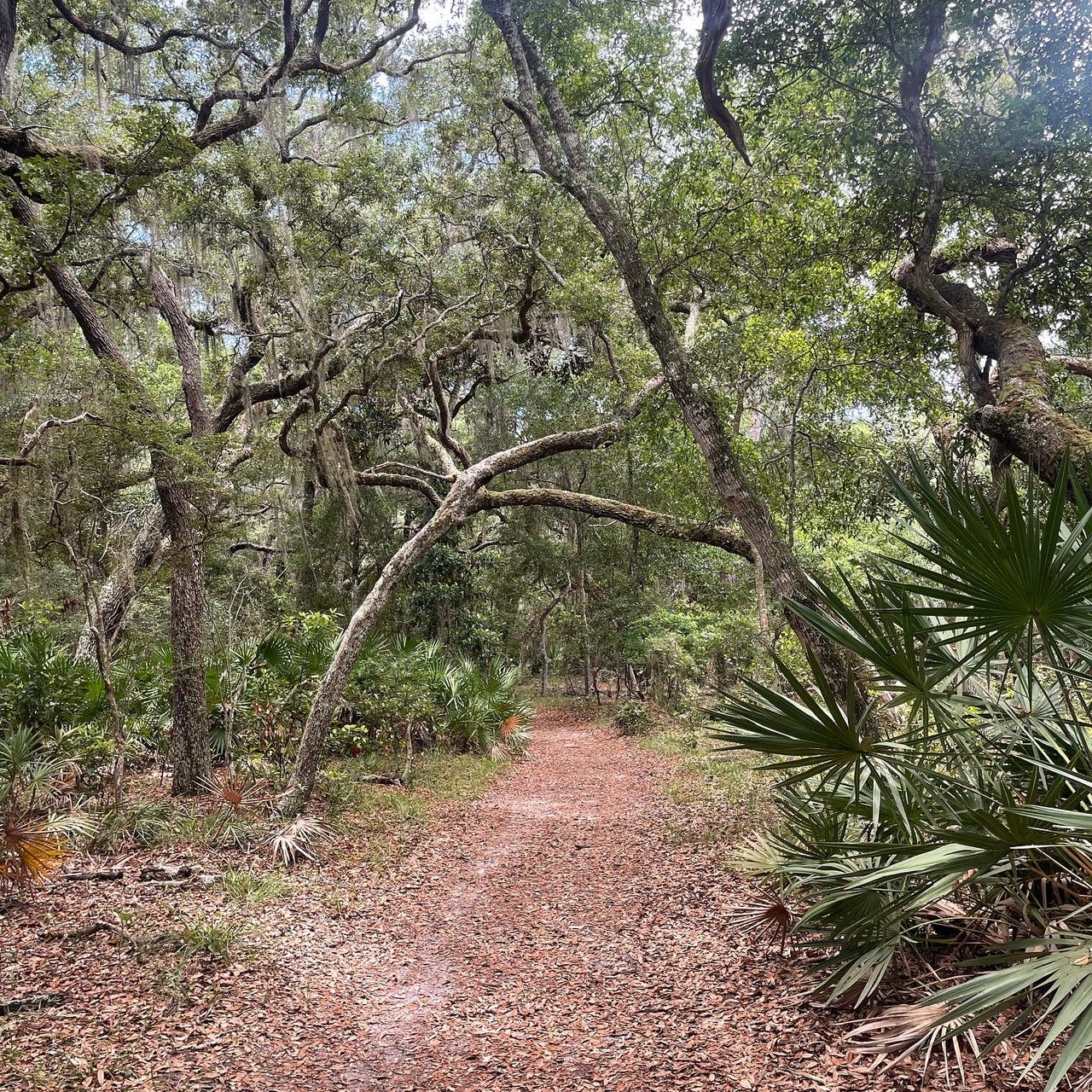 tricia booker's my left hook