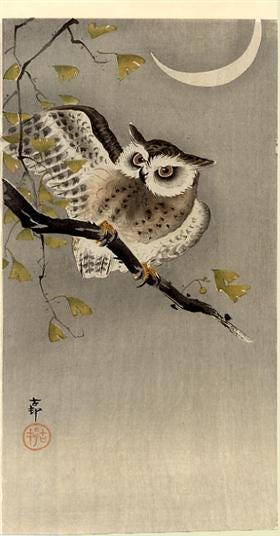 An owl perched on a branch against a full moon An owl perched on a branch against a full moon