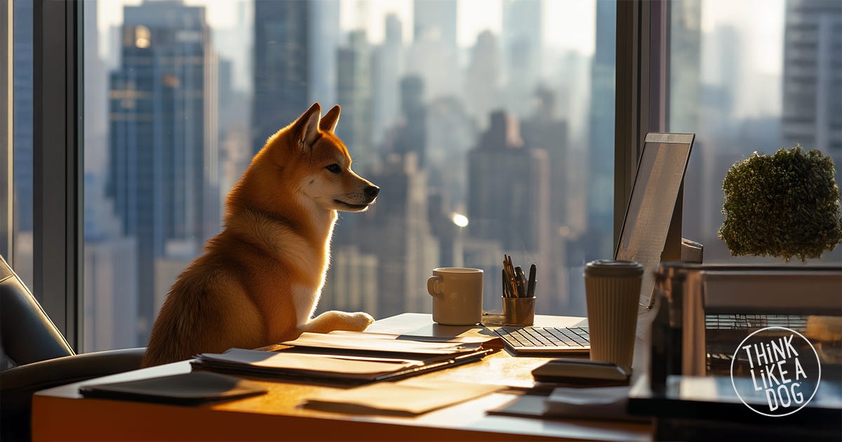 Shiba Inu sitting at a desk in a high-rise office, paws on the table, gazing at a laptop. A THiNK LiKE A DOG reminder that wisdom, leadership, and success can come from seeing the world through a dog’s eyes.