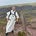 Conor McDonough OP's avatar