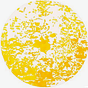 Phoenix In Sight's avatar