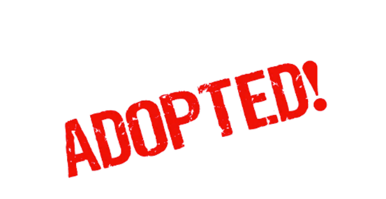 The Amendments to the IHR have been adopted