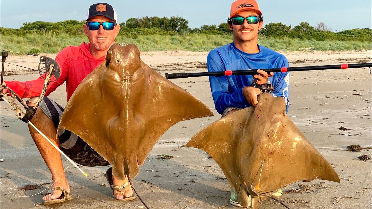 A group of men holding stingrays

AI-generated content may be incorrect.