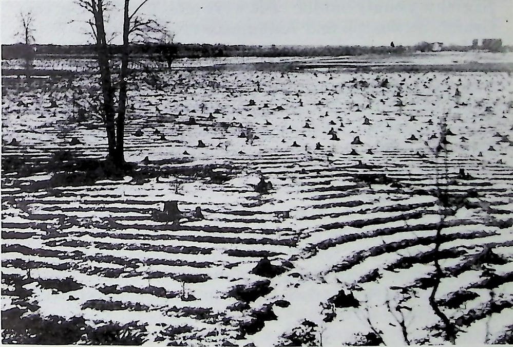 Indian garden beds, southwest Michigan