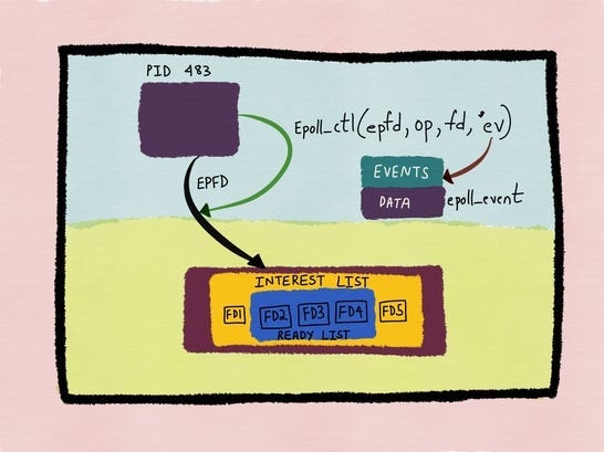 epoll and kqueue: How Operating Systems Learned to Wait Efficiently