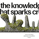 A deep dive on the growth efficacy of founder conviction