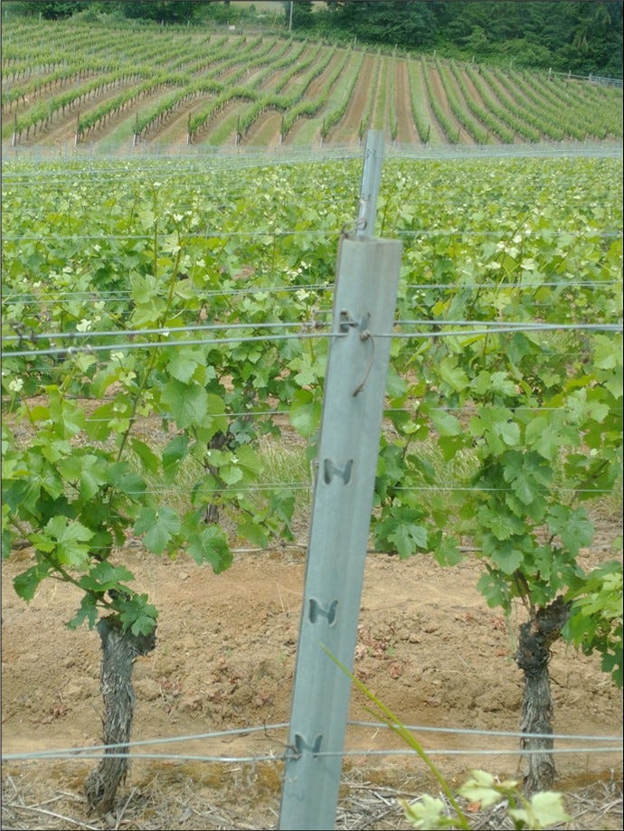 Line post with notches 4" apart for catch wire positions. Line post with notches 4" apart for catch wire positions.
