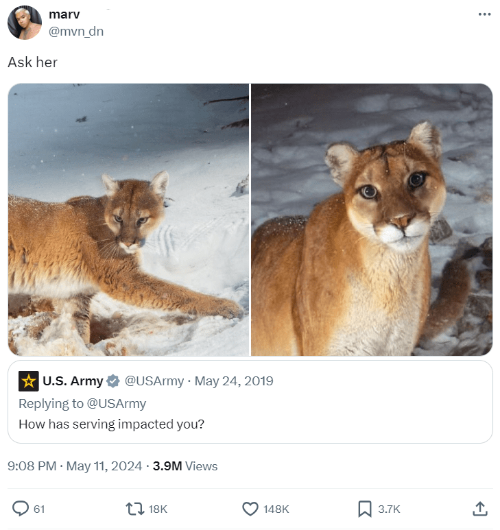 marv @mvn_dn Ask her U.S. Army @USArmy May 24, 2019 Replying to @USArmy How has serving impacted you? 9:08 PM. May 11, 2024 3.9M Views 61 18K 148K 3.7K ↑
