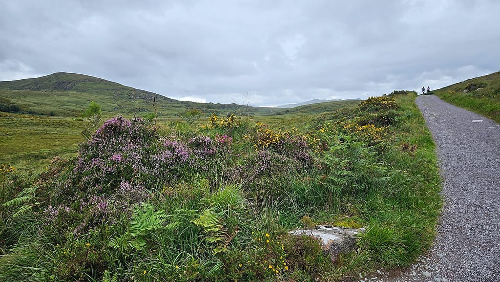 Hiking the Old Kenmare Road in Killarney National Park