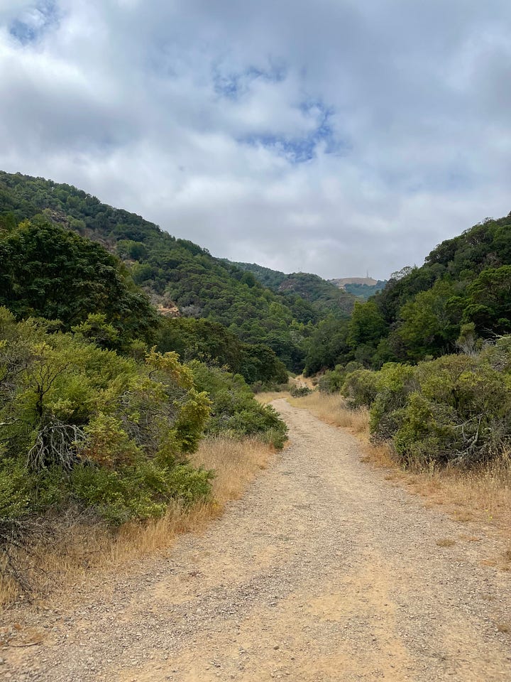 From right to left: A photo of a hiking trail overlooking dark green lush tree. A photo of a black woman smiling dressed in a black zip up jacket with her hands in the air celebrating reaching the top of a peak