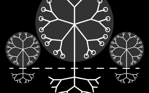 Forget about the word system, think about woods, schools, families. Forget about the word system, think about woods, schools, families.