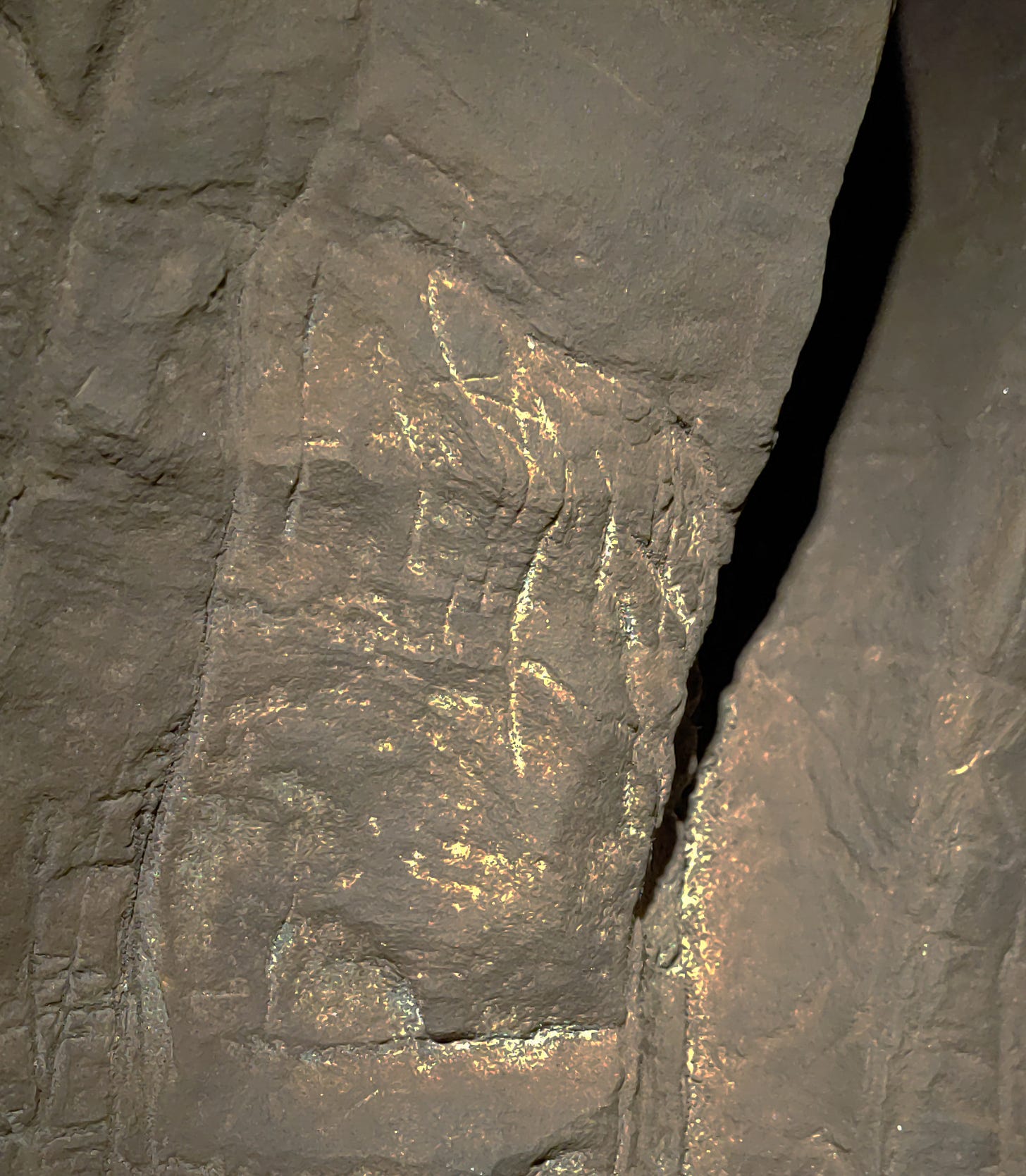 Ancient species Homo naledi may have buried its dead, sparking debate - The  Washington Post