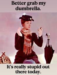 You're gonna need a really big one. ☂️ 🌂 #meme #memes #memesdaily  #julieandrews #marypoppins #umbrella #dumb #stupid #lolmemesdaily #lol