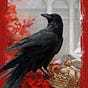 Aeryn's avatar